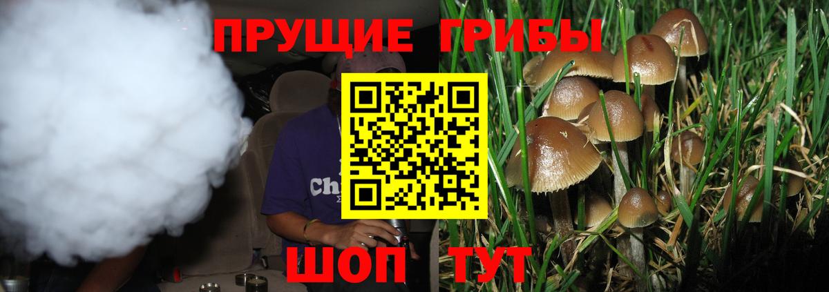 Псилоцибиновые грибы ЛСД  Вход с VPN  Галлюциногенные грибы мухоморы  Владивосток 